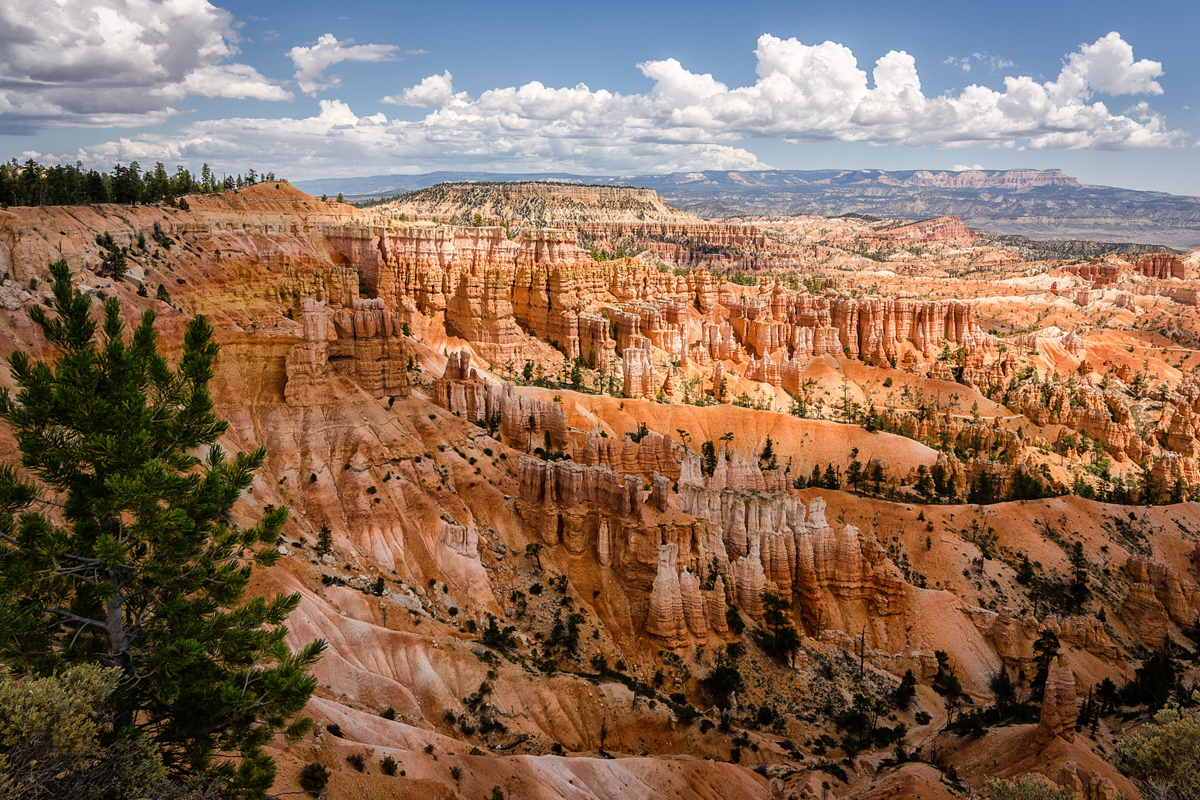 bryce canyon national park.utah.summer 2013.