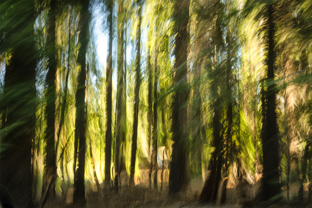 Wasim Muklashy Photography_Wasim of Nazareth_Happy Birthday National Park Service_NPS100_45.jpg