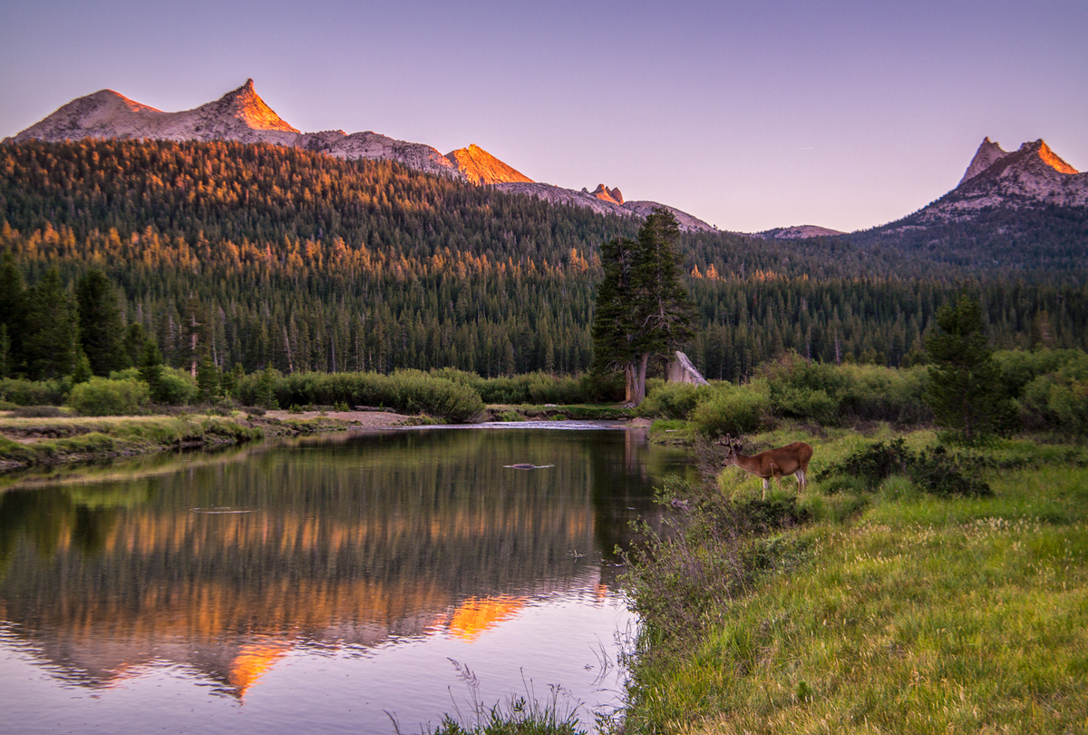 Wasim Muklashy Photography_Wasim of Nazareth_Happy Birthday National Park Service_NPS100_66.jpg