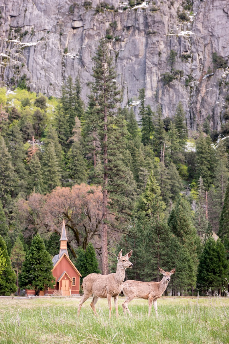 Wasim Muklashy Photography_Wasim of Nazareth_Happy Birthday National Park Service_NPS100_68.jpg