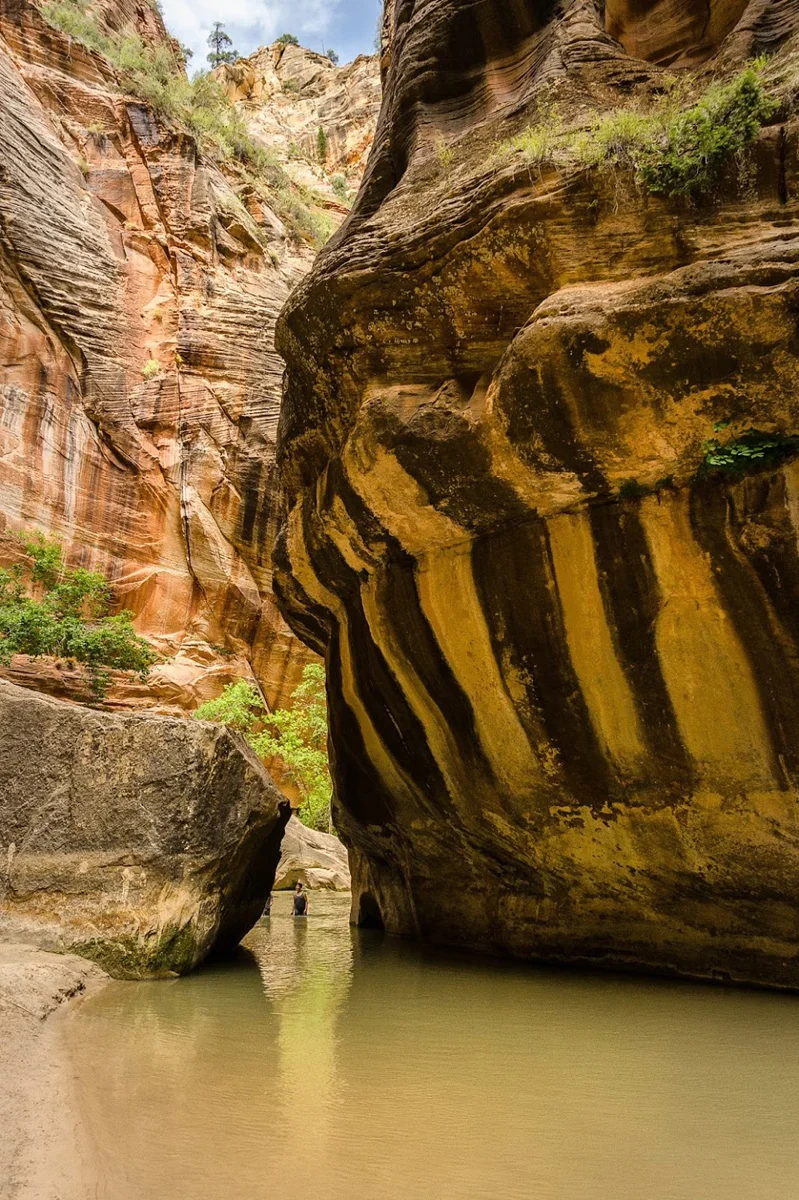 Wasim Muklashy Photography_Wasim of Nazareth_Happy Birthday National Park Service_NPS100_97.jpg