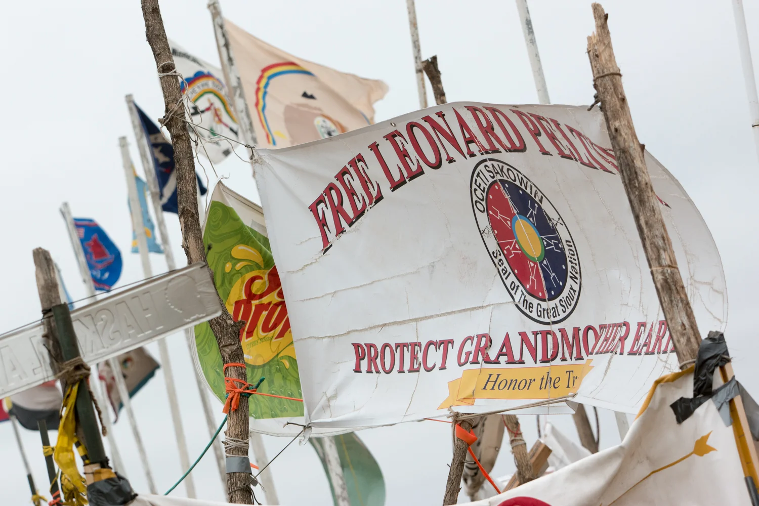 Chopped The Head Off The Black Snake - Congratulations & Thank You Standing Rock