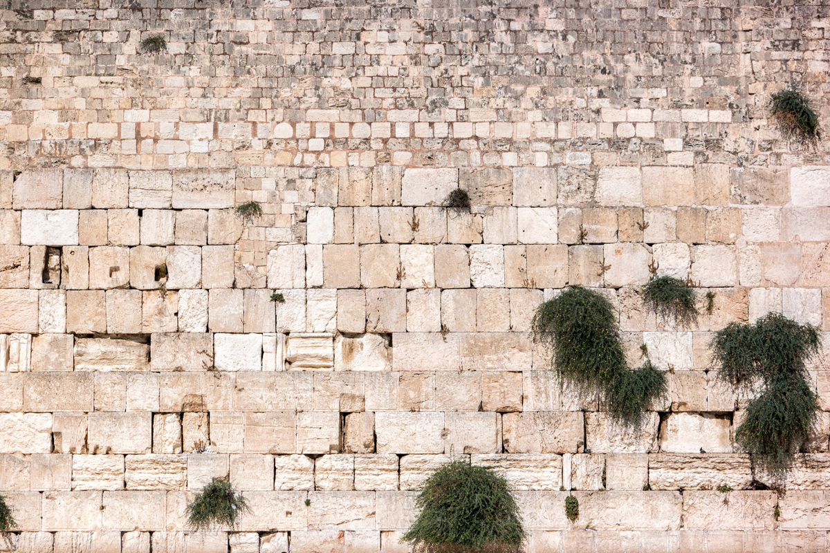 Wasim Muklashy Photography_Wasim of Nazareth_Israel_Palestine_43.jpg