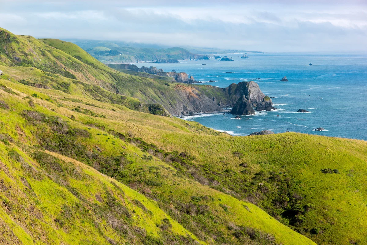 The Migration - My Twisted Journey To The Pacific Northwest