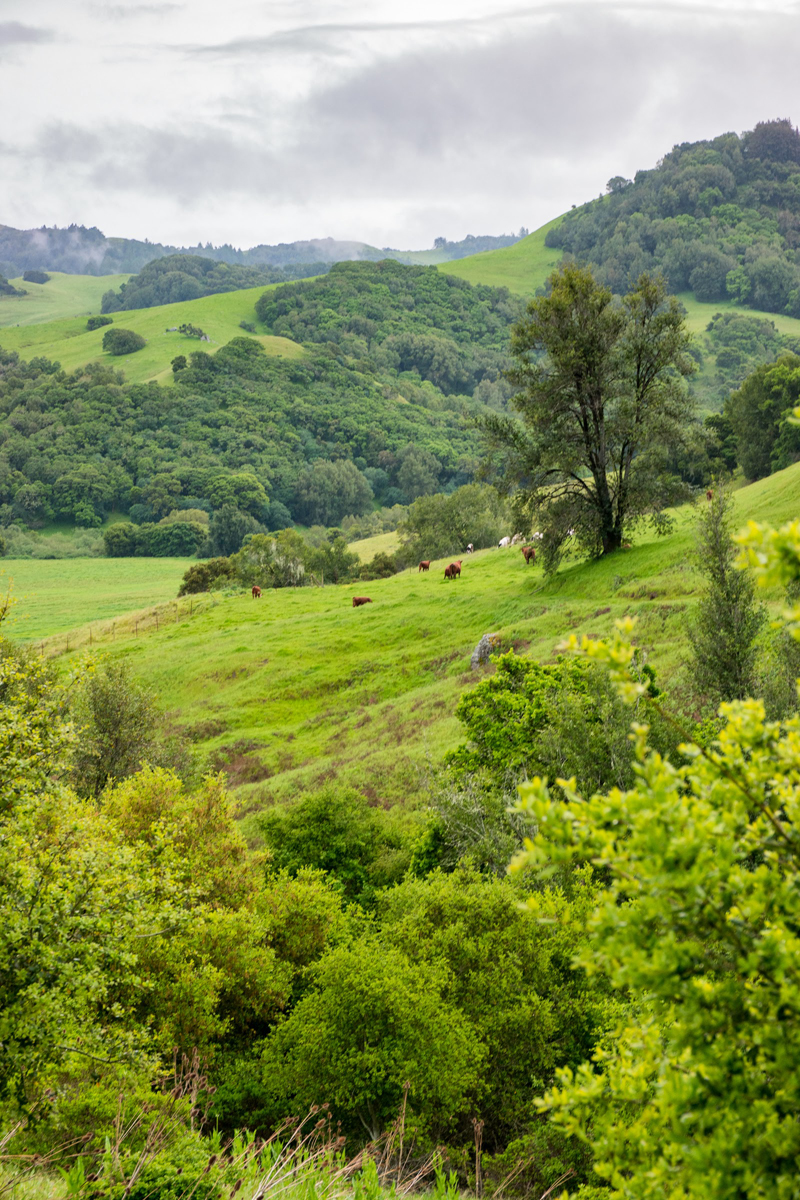 Wasim Muklashy Photography_Los Angeles to Portland_06.jpg
