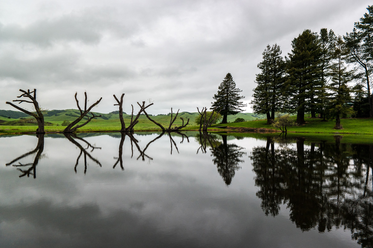 Wasim Muklashy Photography_Los Angeles to Portland_09.jpg