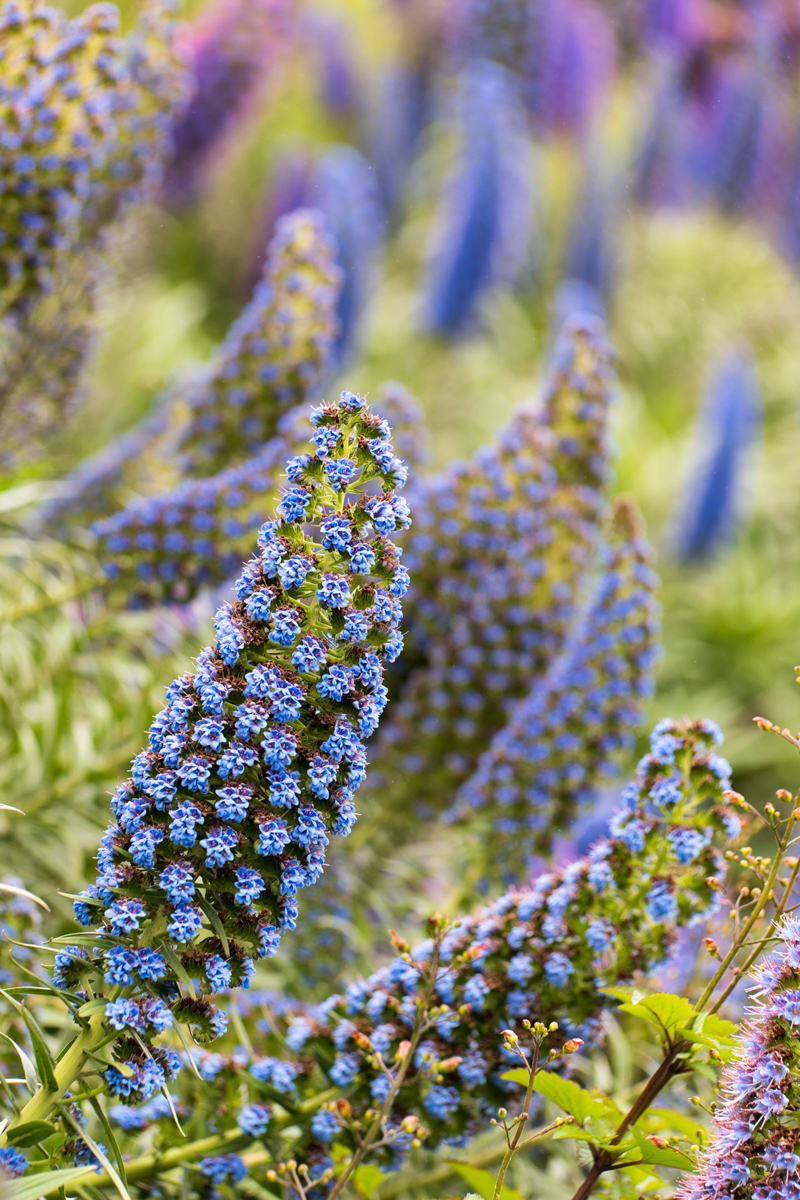 Wasim Muklashy Photography_Los Angeles to Portland_18.jpg