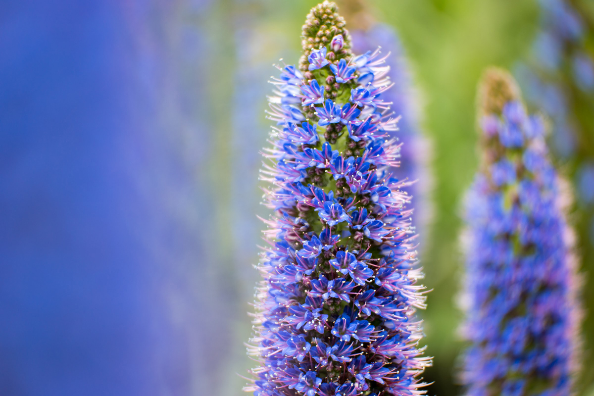 Wasim Muklashy Photography_Los Angeles to Portland_20.jpg
