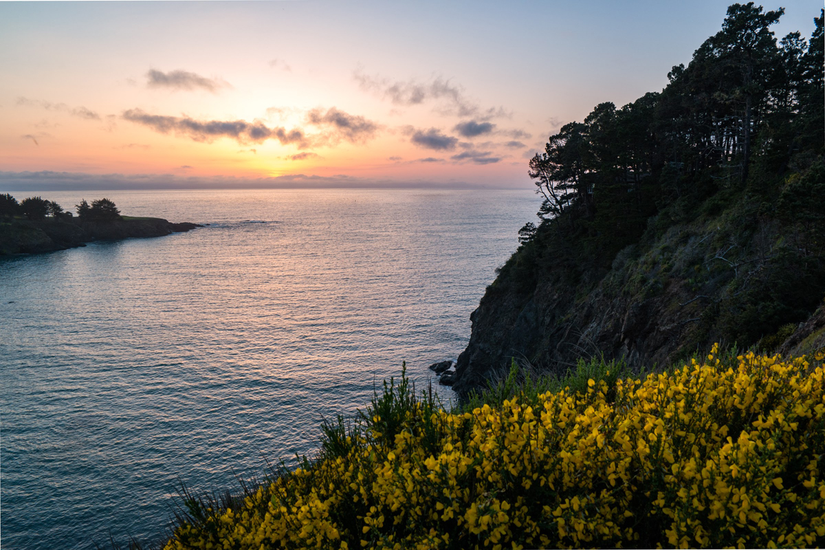 Wasim Muklashy Photography_Los Angeles to Portland_29.jpg