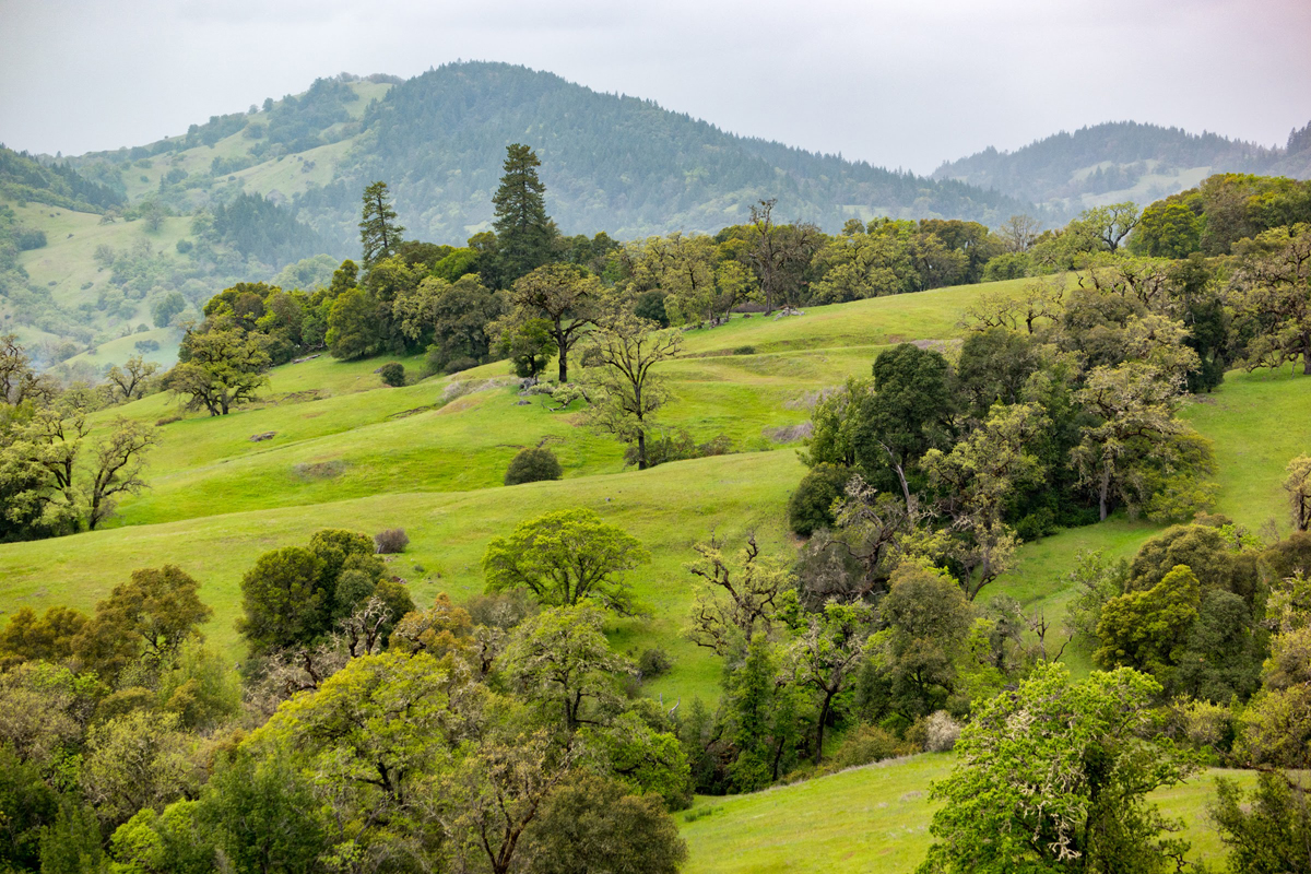 Wasim Muklashy Photography_Los Angeles to Portland_34.jpg