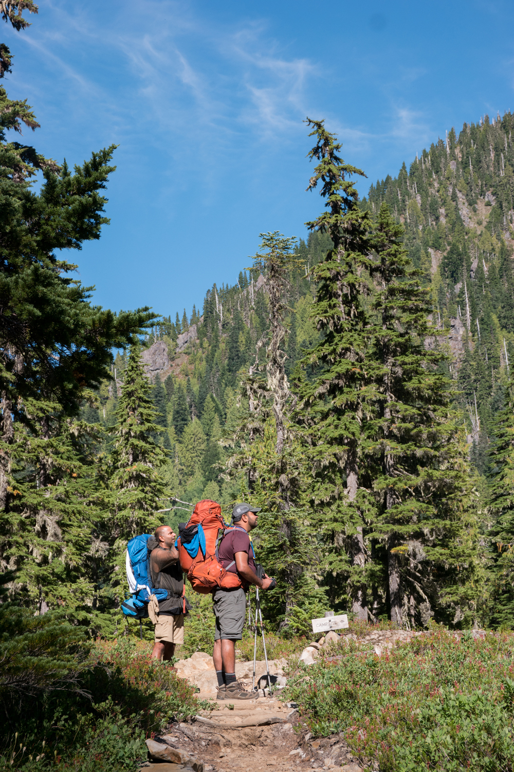 Wasim Muklashy Photography_Olympic National Park_High Divide Loop_009.jpg