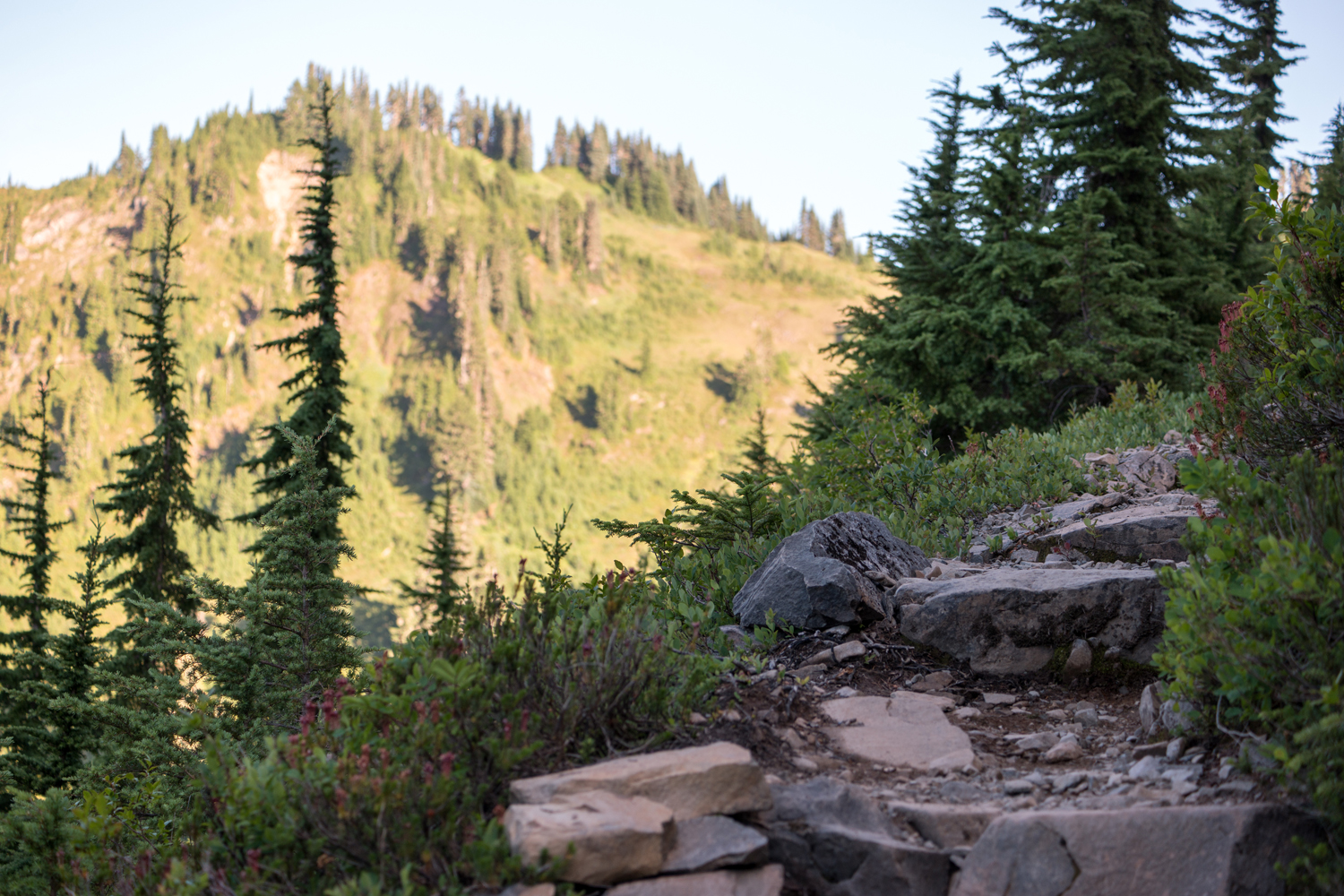 Wasim Muklashy Photography_Olympic National Park_High Divide Loop_015.jpg