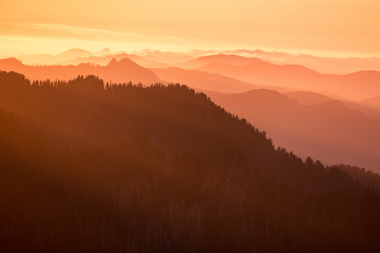 Wasim Muklashy Photography_Olympic National Park_High Divide Loop_032.jpg