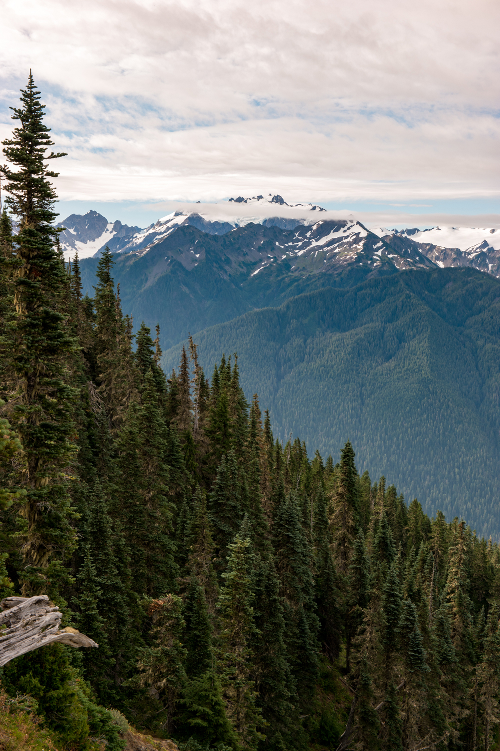 Wasim Muklashy Photography_Olympic National Park_High Divide Loop_037.jpg