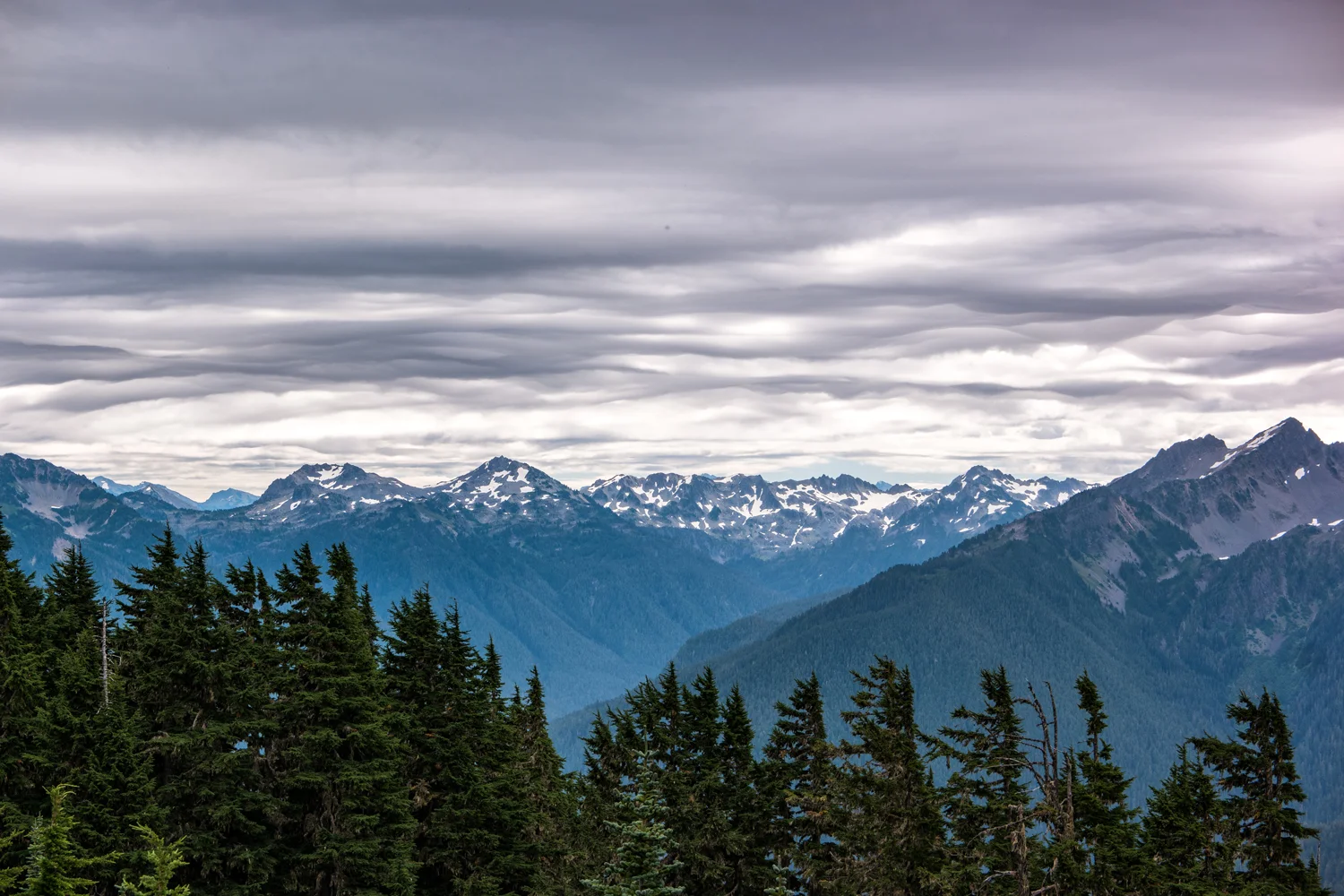 Wasim Muklashy Photography_Olympic National Park_High Divide Loop_043.jpg