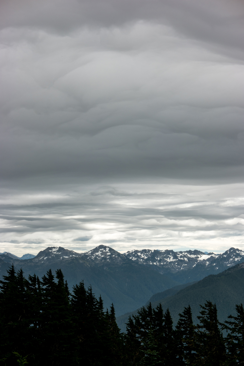 Wasim Muklashy Photography_Olympic National Park_High Divide Loop_046.jpg