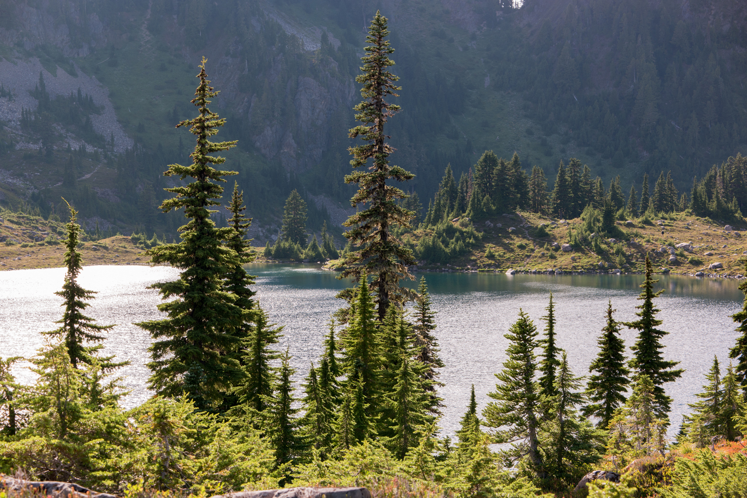 Wasim Muklashy Photography_Olympic National Park_High Divide Loop_065.jpg