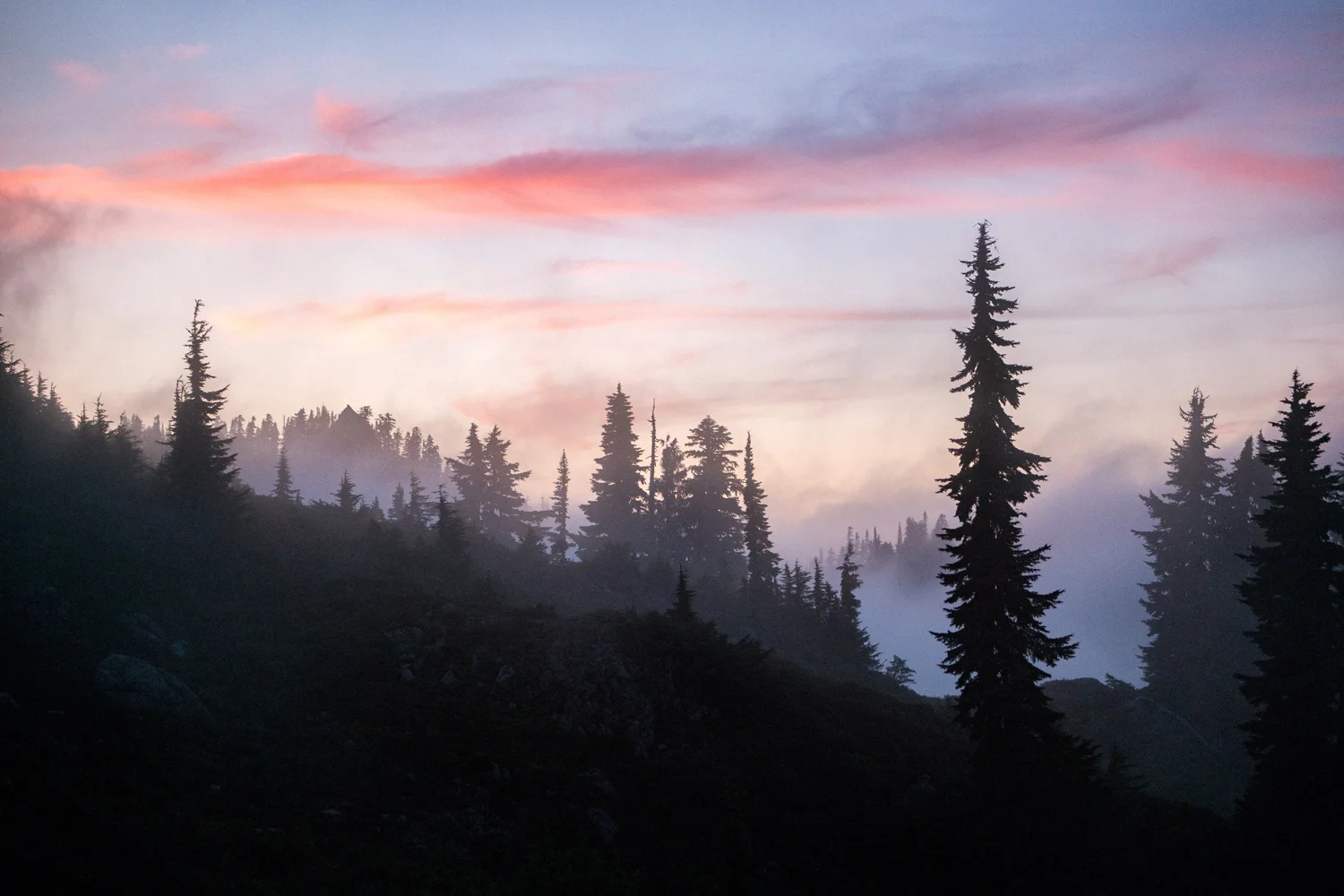 Wasim Muklashy Photography_Olympic National Park_High Divide Loop_071.jpg