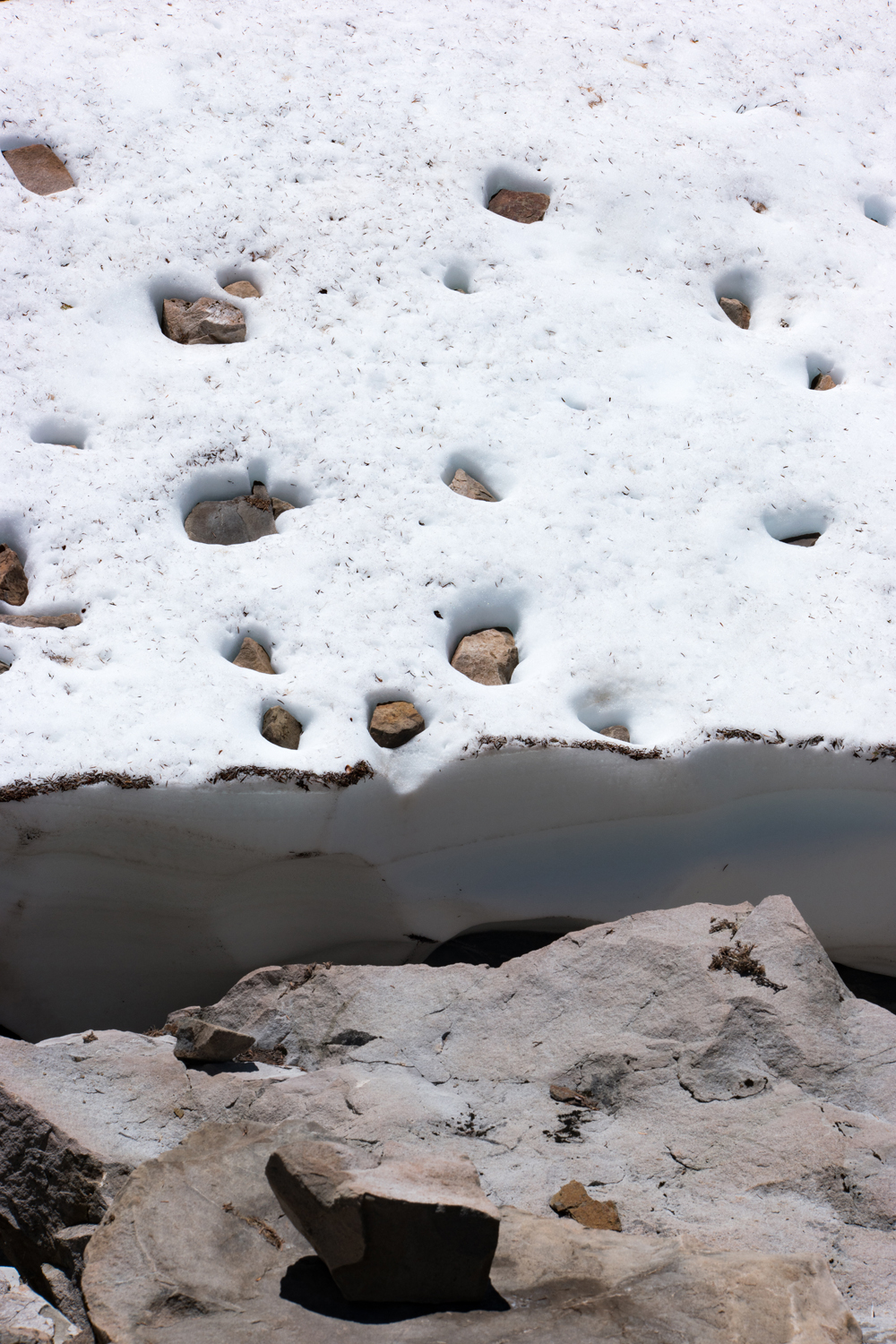 Wasim Muklashy Photography_Olympic National Park_High Divide Loop_078.jpg