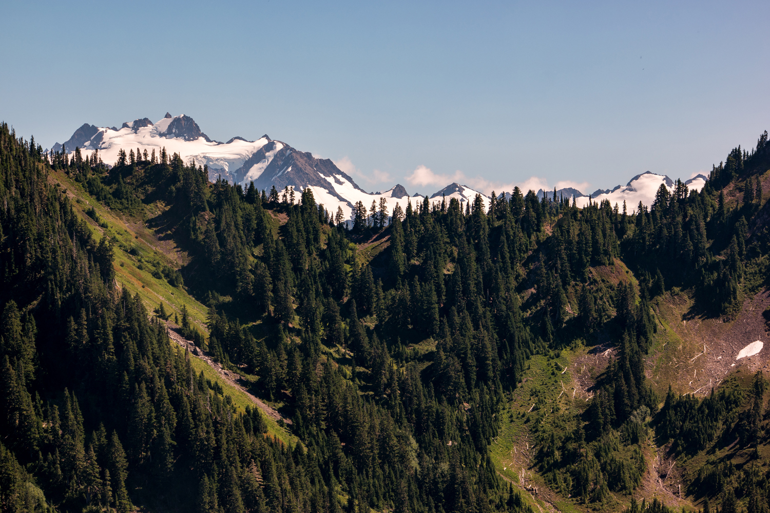 Wasim Muklashy Photography_Olympic National Park_High Divide Loop_080.jpg