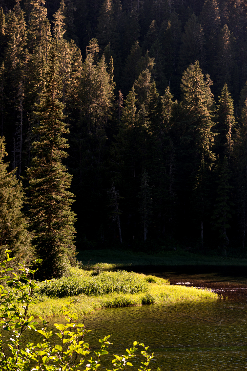 Wasim Muklashy Photography_Olympic National Park_High Divide Loop_104.jpg