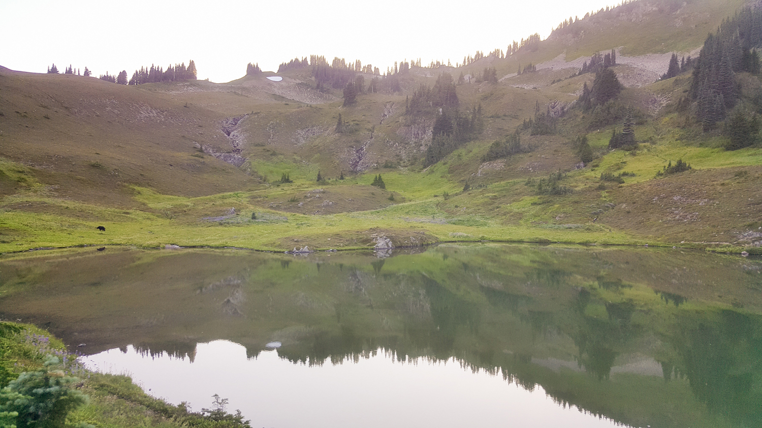 Wasim Muklashy Photography_Olympic National Park_High Divide Loop_116.jpg