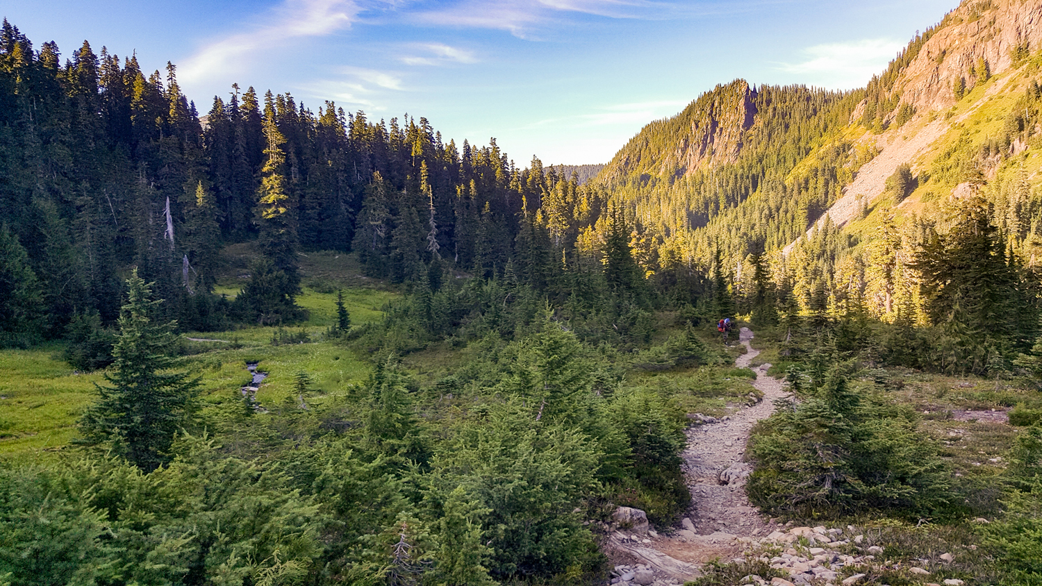 Wasim Muklashy Photography_Olympic National Park_High Divide Loop_115.jpg