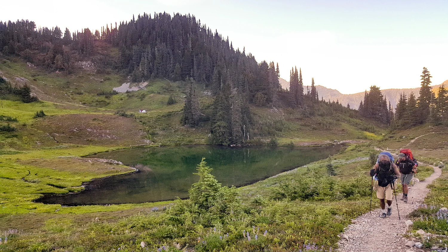 Wasim Muklashy Photography_Olympic National Park_High Divide Loop_117.jpg