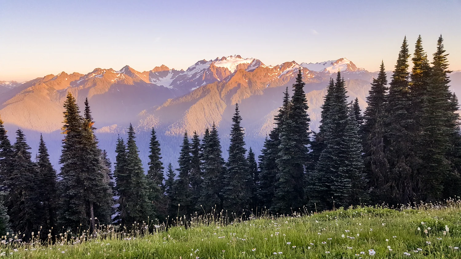 Wasim Muklashy Photography_Olympic National Park_High Divide Loop_119.jpg