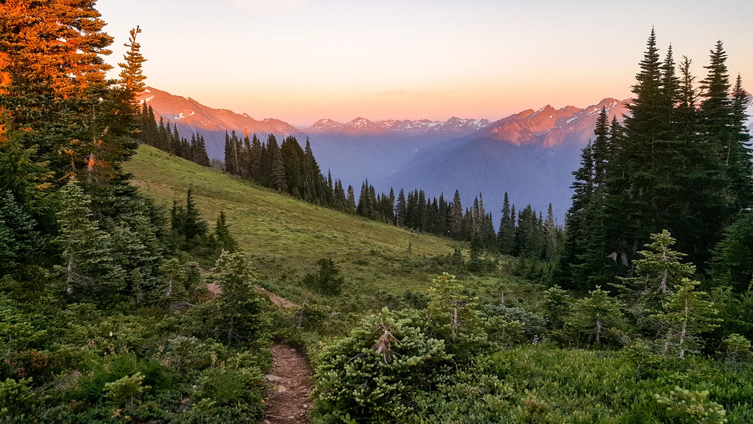 Wasim Muklashy Photography_Olympic National Park_High Divide Loop_121.jpg