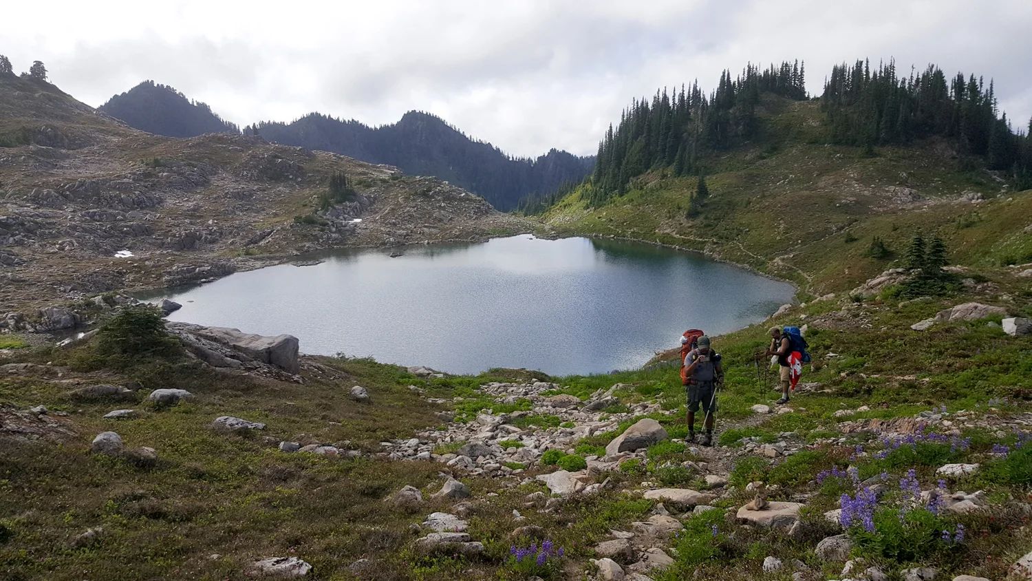 Wasim Muklashy Photography_Olympic National Park_High Divide Loop_127.jpg