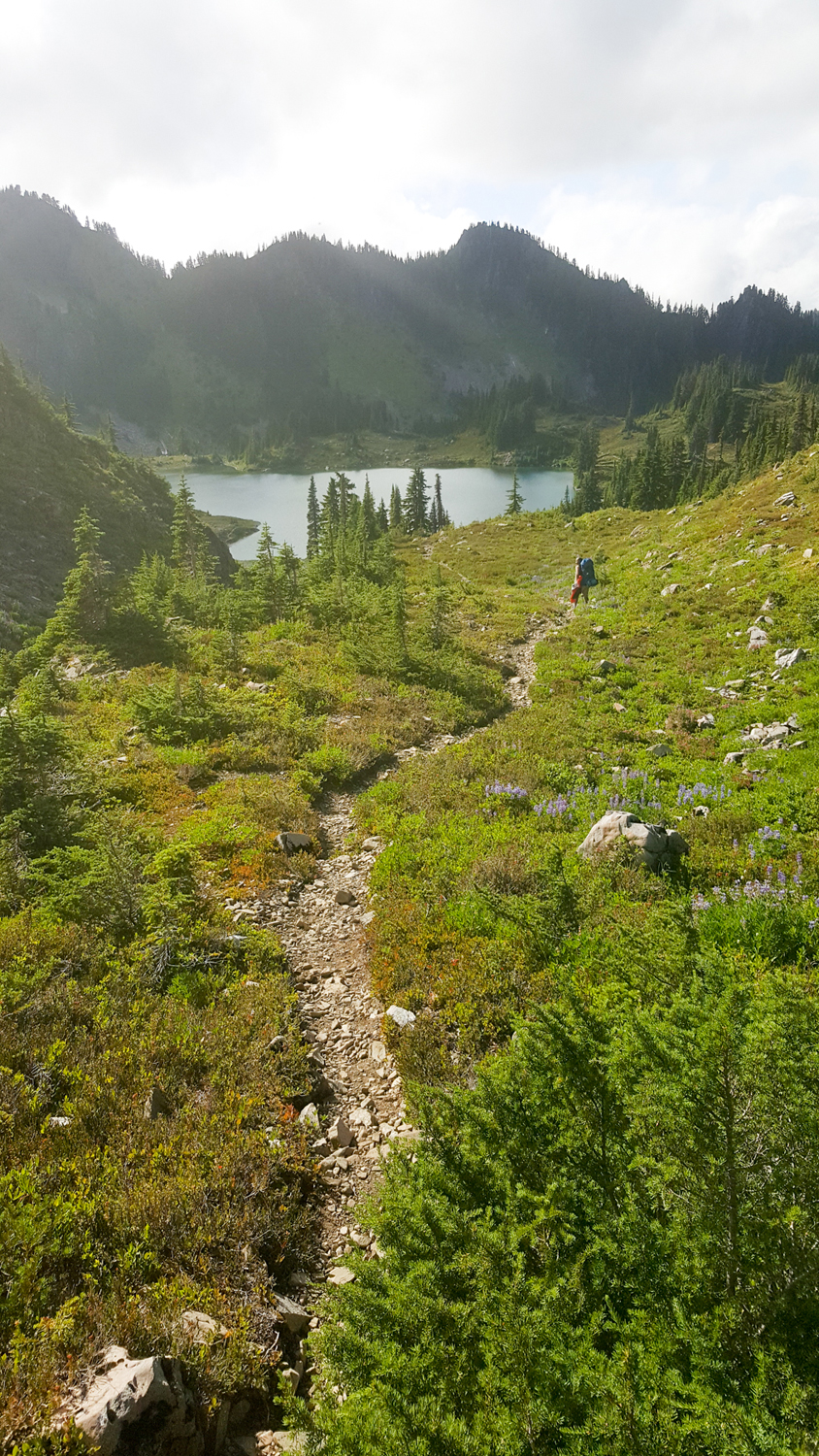 Wasim Muklashy Photography_Olympic National Park_High Divide Loop_128.jpg