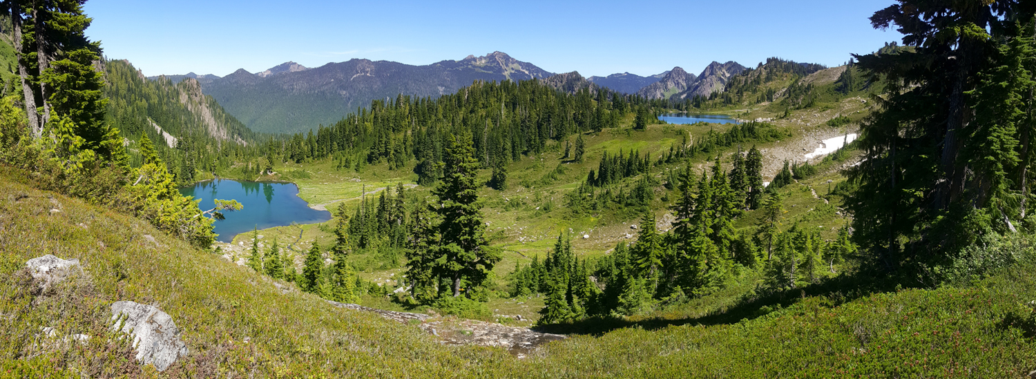 Wasim Muklashy Photography_Olympic National Park_High Divide Loop_137.jpg