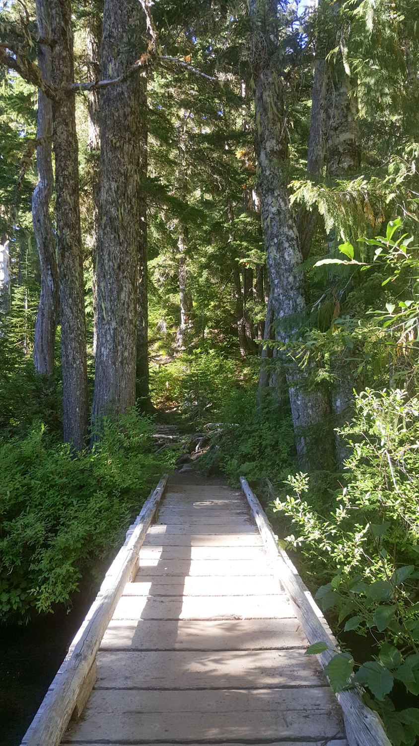 Wasim Muklashy Photography_Olympic National Park_High Divide Loop_140.jpg