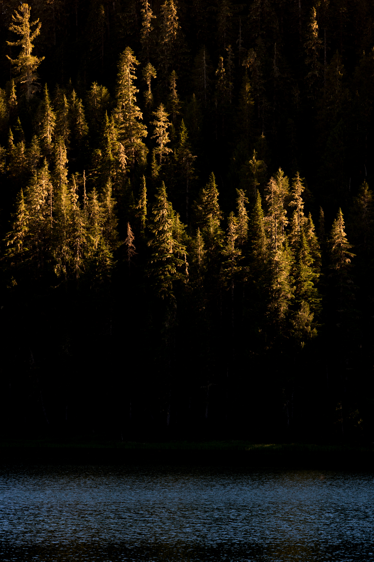 Wasim Muklashy Photography_Olympic National Park_High Divide Loop_109.jpg