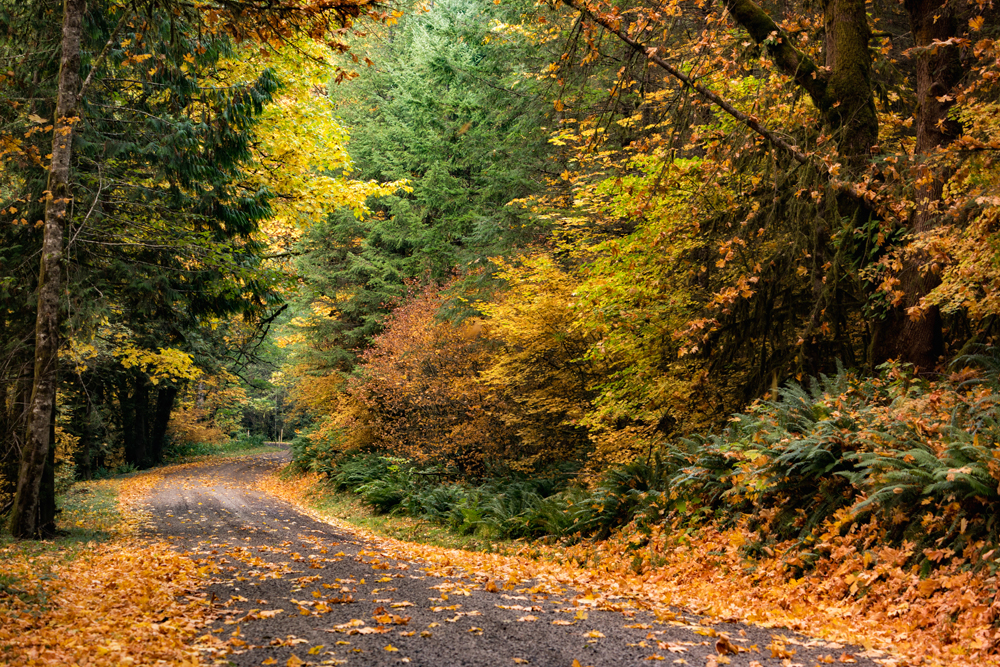 Wasim Muklashy Photography_Portland_Oregon_12.jpg