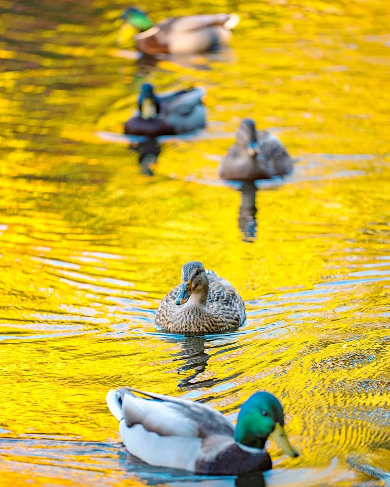 Wasim Muklashy Photography_Portland_Oregon_106.jpg