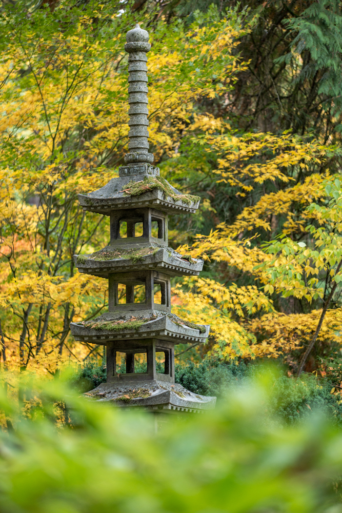 Wasim Muklashy Photography_Wasim of Nazareth_Japanese Garden_Fall_Portland_Oregon_10.jpg