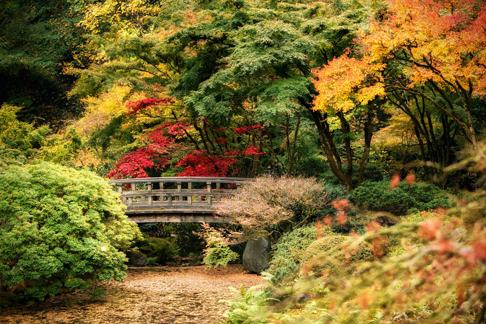 Wasim Muklashy Photography_Wasim of Nazareth_Japanese Garden_Fall_Portland_Oregon_37.jpg