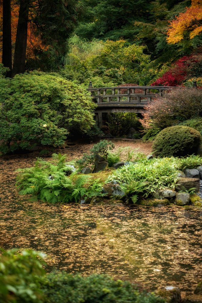 Wasim Muklashy Photography_Wasim of Nazareth_Japanese Garden_Fall_Portland_Oregon_41.jpg