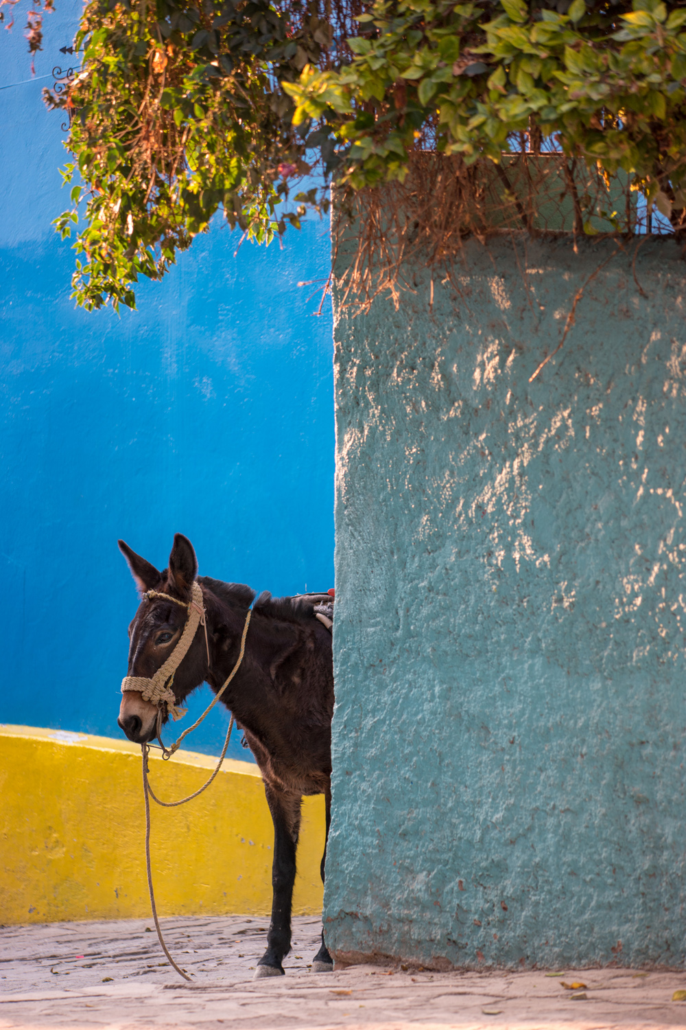 Wasim Muklashy Photography_Guanajuato_Mexico_078.jpg