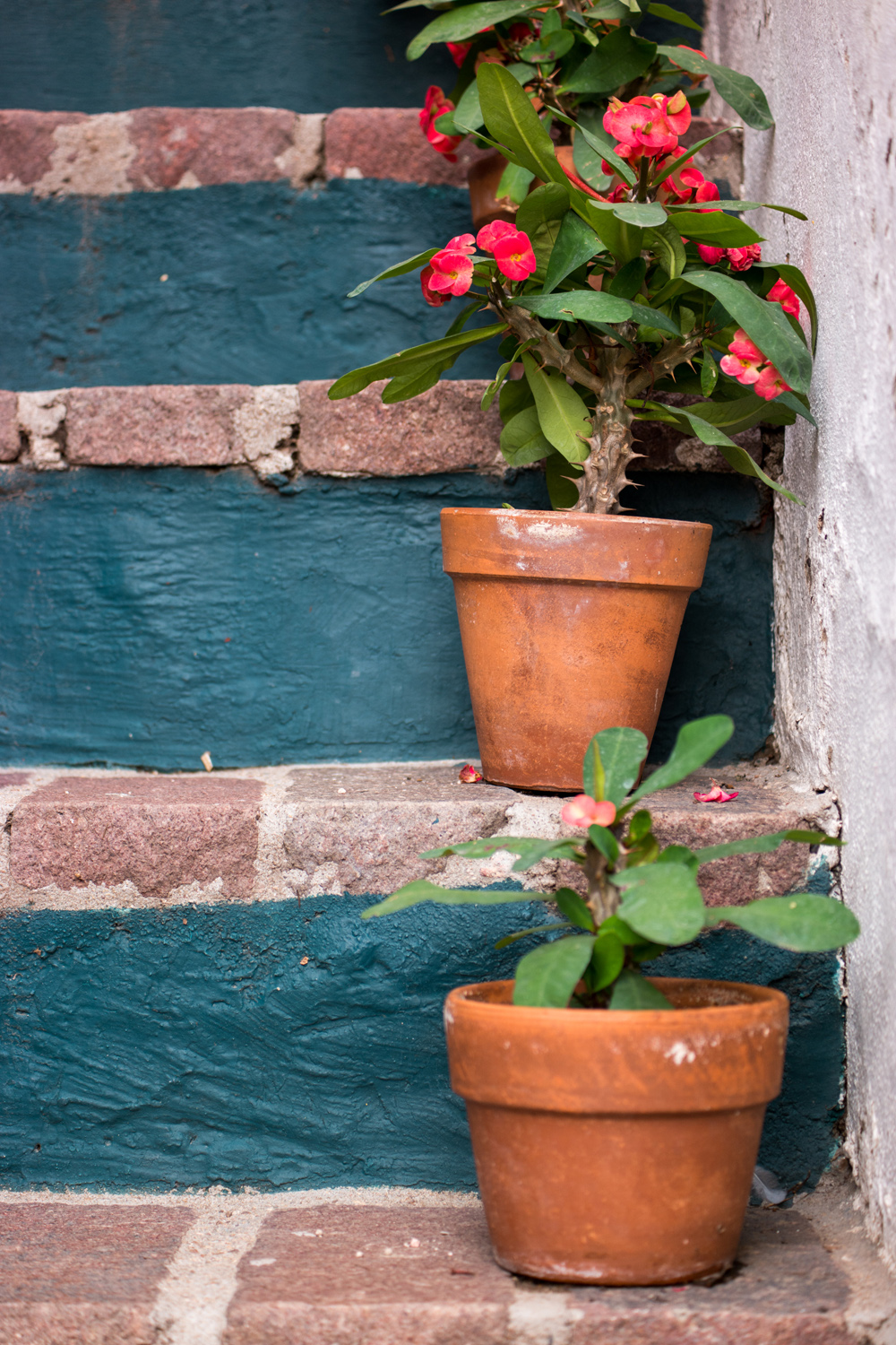 Wasim Muklashy Photography_Guanajuato_Mexico_114.jpg
