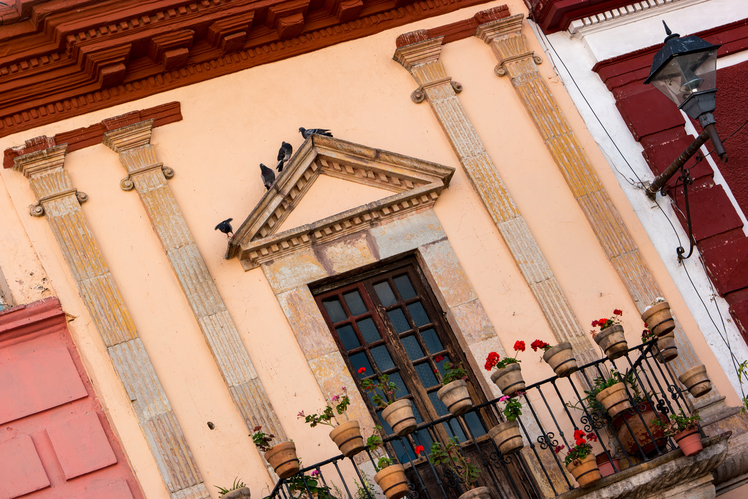 Wasim Muklashy Photography_Guanajuato_Mexico_134.jpg