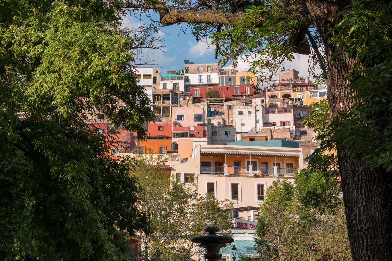Wasim Muklashy Photography_Guanajuato_Mexico_137.jpg