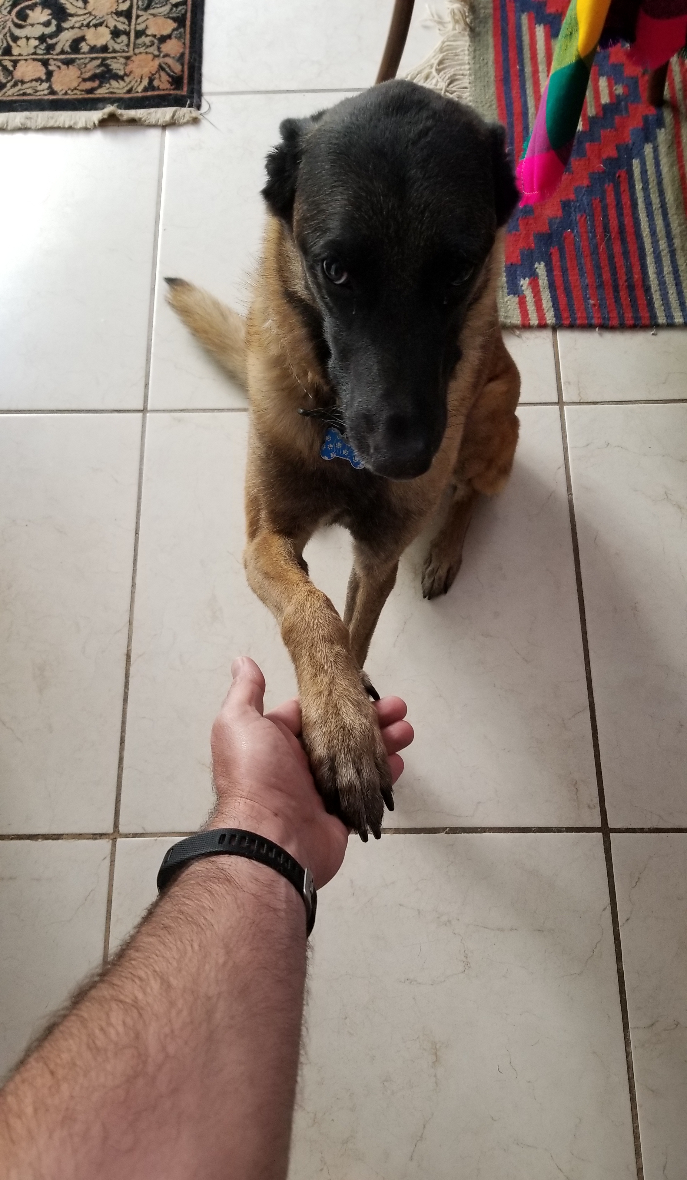20180303_231431.jpg