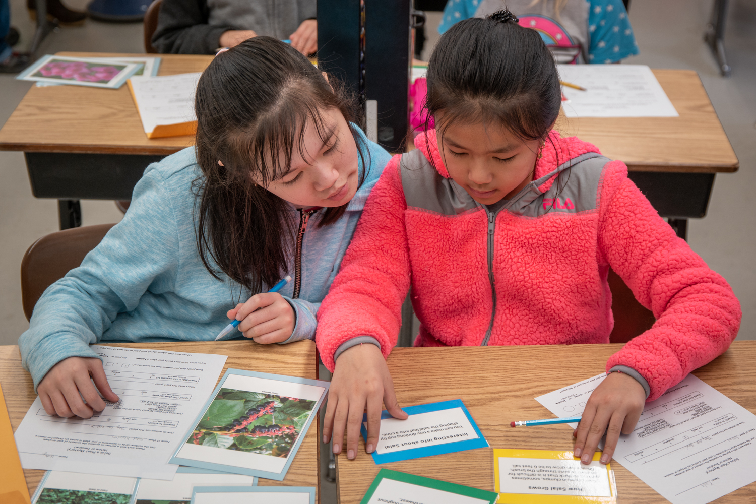 Wasim Muklashy Photography_Ecology in Classrooms and Outdoors_ECO_Curriculum Kits_Portland_Oregon_116.jpg