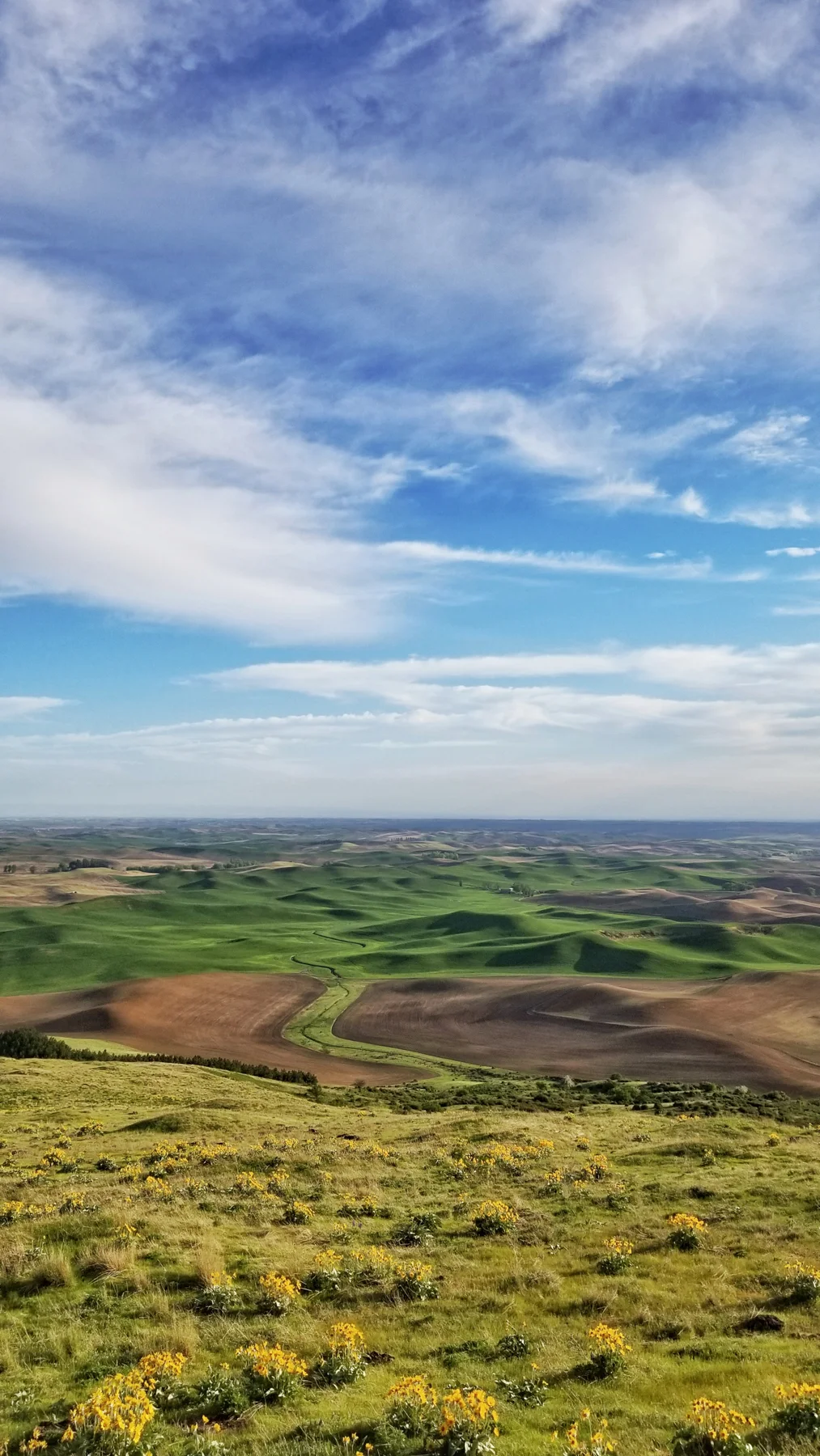 Wasim Muklashy Photography_Tesla Trip_Columbia River Gorge_Oregon_Washington_Palouse_172.jpg
