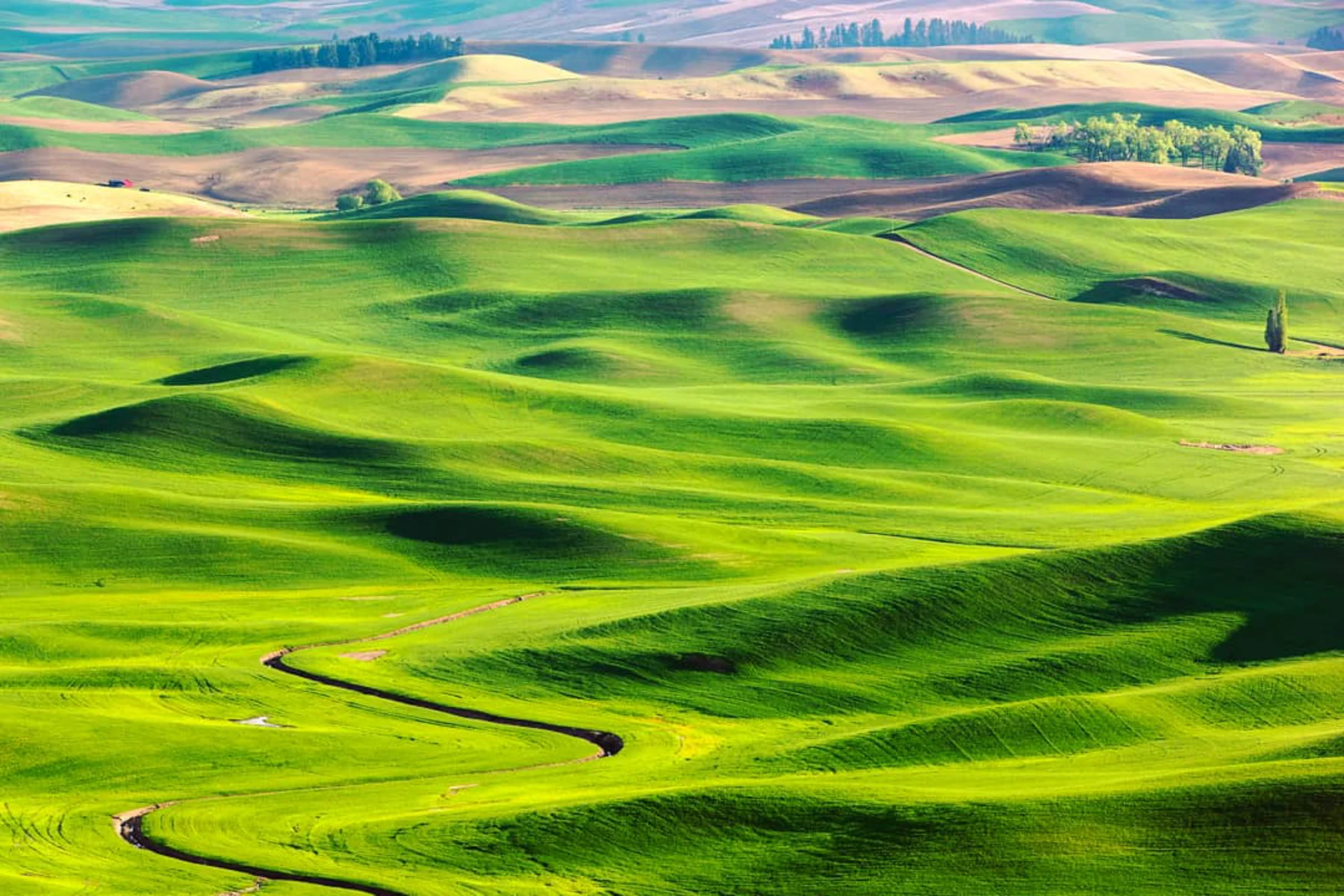 Wasim Muklashy Photography_Tesla Trip_Columbia River Gorge_Oregon_Washington_Palouse_180.jpg