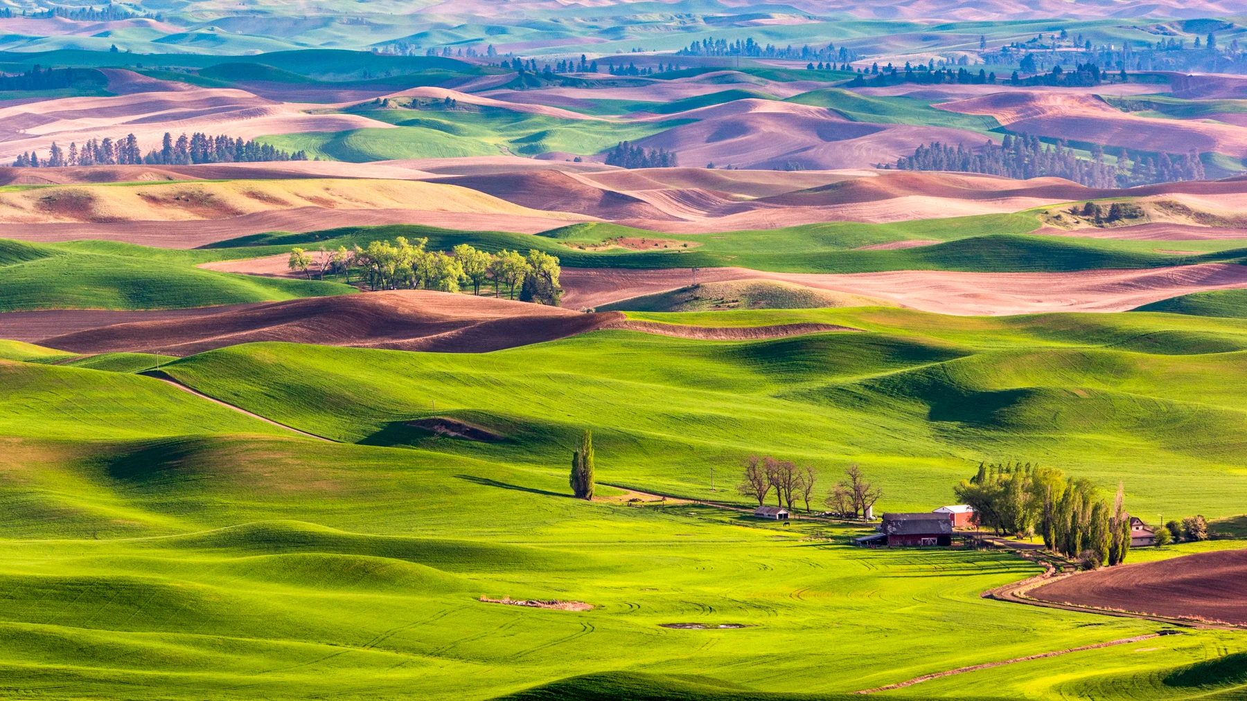 Wasim Muklashy Photography_Tesla Trip_Columbia River Gorge_Oregon_Washington_Palouse_187.jpg