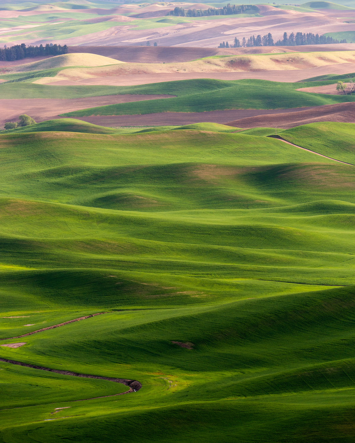 Wasim Muklashy Photography_Tesla Trip_Columbia River Gorge_Oregon_Washington_Palouse_113.jpg